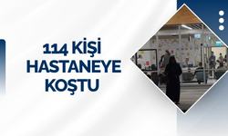 114 kişi hastanelik oldu