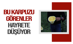 Bu karpuzu görenler hayrete düşüyor: kabuğu yeşil, içi sarı