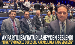 AK Partili Baybatur Lahey'den Seslendi: "Türkiye'nin Güçlü Duruşunu Kararlılıkla İfade Edeceğiz"