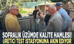 Sofralık üzümde kalite hamlesi! Üretici test istasyonuna akın ediyor