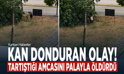 Kan donduran olay! Tartıştığı amcasını palayla öldürdü