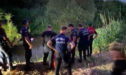 Nehire atlayan şahıs son anda kurtarıldı