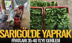 Sarıgöl'de yaprak fiyatları 35-40 TL'ye geriledi