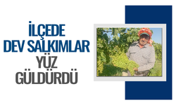 İlçede bereket yılı! 40 santimetrelik üzüm salkımları dikkat çekti