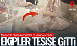 Manisa'da tavuk etine neden numune alındı?