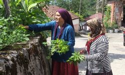 Bu mahallede herkesin soyadı aynı