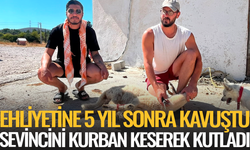 Ehliyetine 5 yıl sonra kavuştu, sevincini kurban keserek kutladı