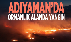 Adıyaman’da ormanlık alanda yangın
