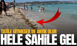 Manisalı Tatilciler Çeşme'den Şikayetçi!