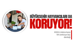 Manisa Büyükşehir'den hayvancılığa 1.058 preparat desteği