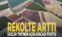Rekolte arttı, gözler TMO'nun açıklayacağı fiyatta