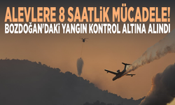 Alevlere 8 saatlik mücadele! Bozdoğan'daki yangın kontrol altına alındı