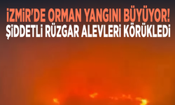İzmir'de orman yangını büyüyor! Şiddetli rüzgar alevleri körükledi