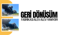 İzmir'de geri dönüşüm fabrikasında korkutan yangın