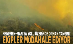 Menemen–Manisa yolu üzerinde orman yangını! Ekipler müdahale ediyor