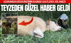 Uçurumdan düşen ineğinin başında gözyaşı dökmüştü: Teyzeye en anlamı hediye geldi