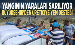 Yangının yaraları sarılıyor... Büyükşehir'den üreticiye yem desteği