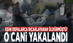 Eşini defalarca bıçaklayarak öldürmüştü! O cani yakalandı