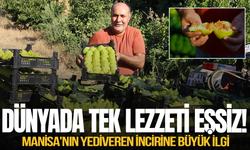 Manisa'nın bal akan inciri yok satıyor: Talep fiyatı katladı