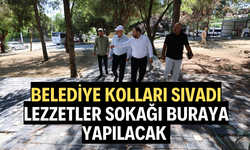 Belediye kolları sıvadı. Lezzetler sokağı buraya yapılacak