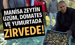 Manisa Zeytin, Üzüm, Domates ve Yumurtada Zirvede