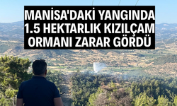 Manisa'da yangında 1.5 hektarlık kızılçam ormanı zarar gördü