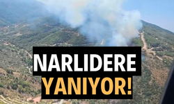Narlıdere'deki orman yangınına havadan ve karadan müdahale
