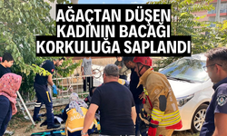 Ağaçtan düşen kadının bacağı demir korkuluğa saplandı