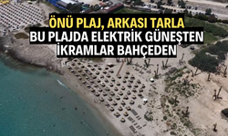 Önü plaj, arkası tarla: Bu plajda elektrik güneşten, ikramlar bahçeden