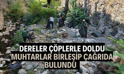 Dereler çöplerle doldu, muhtarlar birleşip çağrıda bulundu