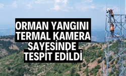 Yapay zeka yangını 158 derecede yakaladı