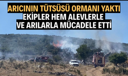 Arıcının tütsüsü ormanı yaktı, ekipler alevlerle ve arılarla mücadele etti