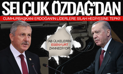 Selçuk Özdağ, Erdoğan'ın liderlere silah hediye etmesine tepki gösterdi: 'AB ülkelerini Esenyurt zannediyor'