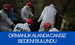 Ormanlık alanda cansız bedeni bulundu
