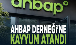 Ahbap Derneği'ne kayyum atandı