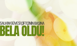 İlçe Tarım Müdürlüğü çiftçileri uyardı: İlaçlama yapın!