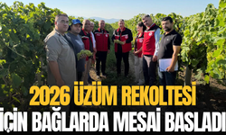 2026 üzüm rekoltesi için bağlarda mesai başladı