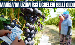 Manisa'da üzüm işçi ücretleri belli oldu