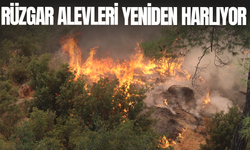 Rüzgar alevleri yeniden harlıyor, ekipler zamana karşı yarışıyor