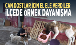 Can dostlar için el ele verdiler... İlçede örnek dayanışma