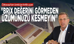 Özkasap'tan üreticiye kritik uyarı: "Brix değerini görmeden üzümünüzü kesmeyin"