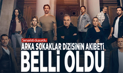 Senaristi duyurdu... Arka Sokaklar dizisinin akıbeti belli oldu