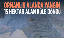 Ormanlık alanda yangın: 15 hektar alan küle döndü