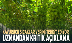 Kavurucu sıcaklar verimi tehdit ediyor... Uzmandan kritik açıklama