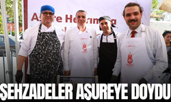 Şehzadeler aşureye doydu