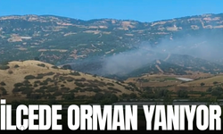 İlçede orman yangını başladı