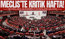 Emekliye zam, öğrenci affı ve Yargı Paketi... Meclis'te kritik hafta başlıyor