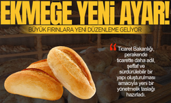 Ekmeğe uygun fiyat için kritik adım! Büyük fırınlara yeni düzenleme geliyor