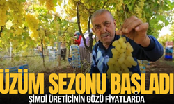 Bu yıl üzüm fiyatları ne kadar olacak? Ziraat Odası Başkanından açıklama