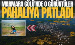Manisa'da Flamingoları havalandıran SUP keyfi cezayla bitti